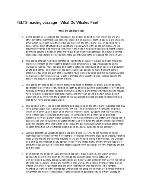 IELTS Reading Practice Test PDF 的图像结果