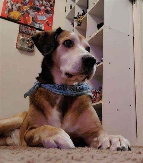 $150 Off Custom Clone