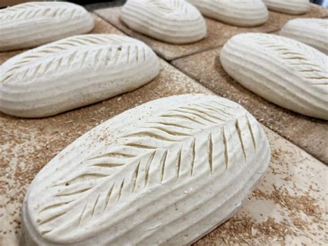 Sourdough 101 Beginners Class With Sour & Salt, The Cheese Bar ...