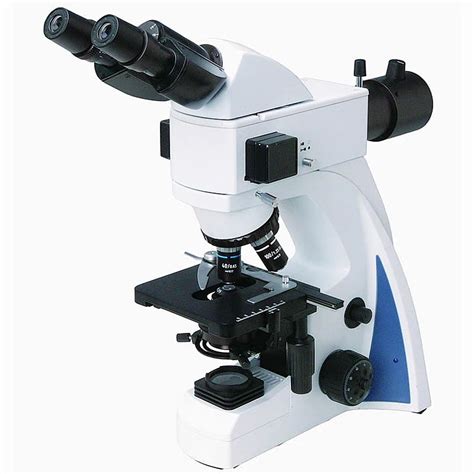 Fluorescence Microscope 的图像结果