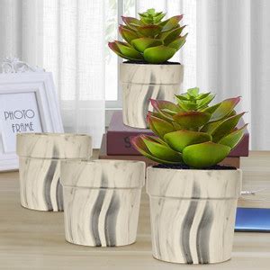 Lasaki Lyla Pastel Black Ceramic Pot for Indoor Plants || Planters ...