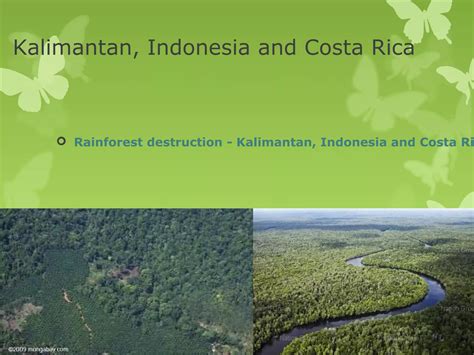 Image result for Resource Extraction