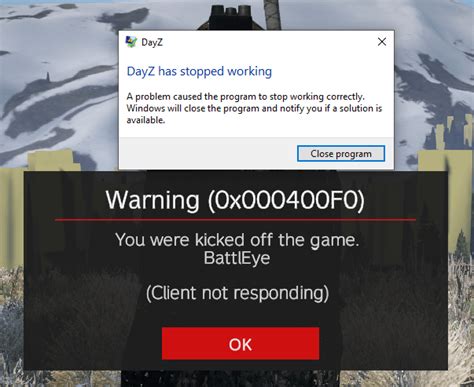 Image result for DayZ Executable Fix