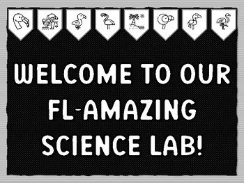 WELCOME TO OUR FL-AMAZING SCIENCE LAB! Ready to print Flamingo Bulletin ...