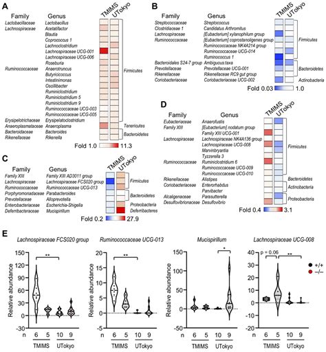 Old but New: Group IIA Phospholipase A2 as a Modulator of Gut Microbiota