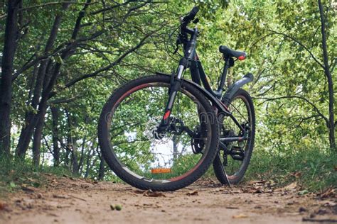 Cycling Bike Outdoor 的图像结果