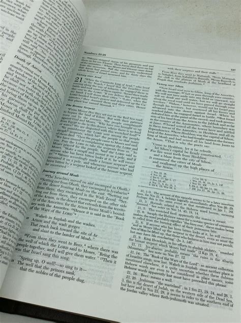 THE NEW AMERICAN BIBLE Translated from the Original Languages with ...