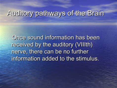 Visual and Auditory Pathways 的图像结果