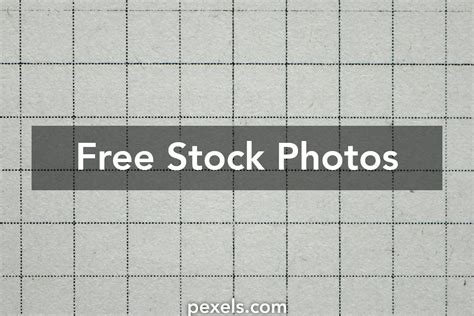 Polynomial Graph Examples 的图像结果