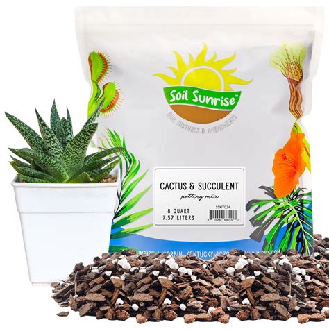 Soil Sunrise Indoor Cactus and Succulent Potting Mix, Special Blend ...