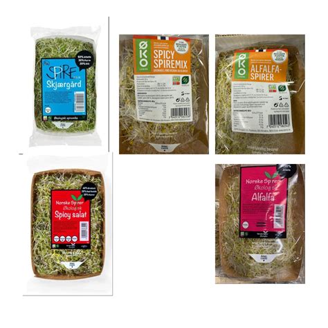 Salmonella, Nyhetsvarsel | Større nasjonalt utbrudd av salmonella - 23 ...
