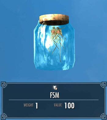 Image result for FSM Destiny