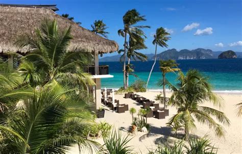 Download wallpaper beach, palm trees, the ocean, the hotel, resort ...