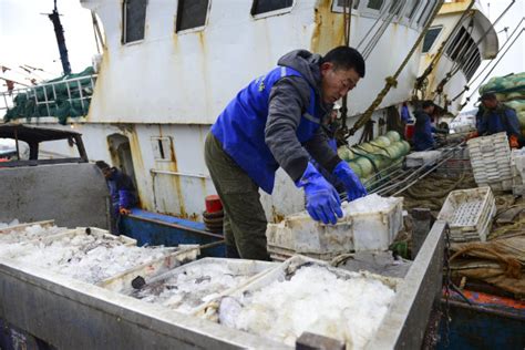 舟山市启动低收入渔农户三年帮扶计划-浙江新闻-浙江在线