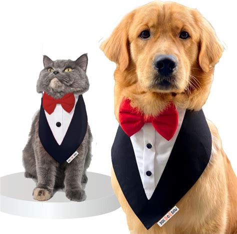 Dog-O-Bow Tuxedo Bandana for Dogs (XL, Black) : Amazon.in: Pet Supplies