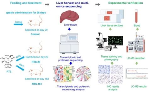 Repair of Retrorsine-Induced DNA Damage in Rat Livers: Insights Gained ...