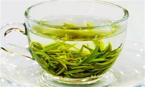 男生绿茶是什么意思(辨别绿茶是什么意思)_捷讯网