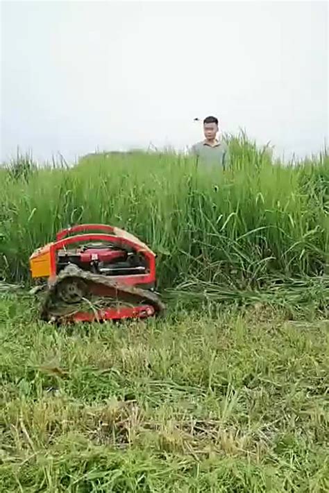 Robot Lawn Mower 的图像结果