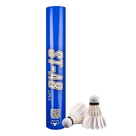 Badminton Net Shuttle Cock 的图像结果