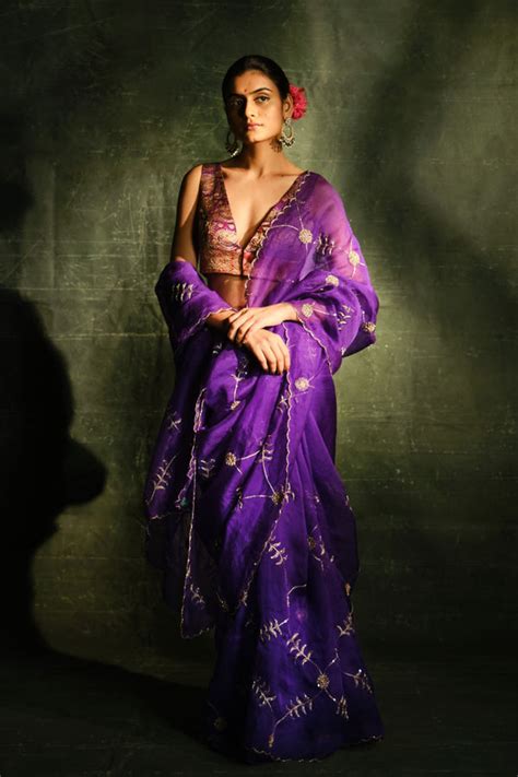 Ayoki - Meenakari Jaal Oragnza Saree Set - Elahe