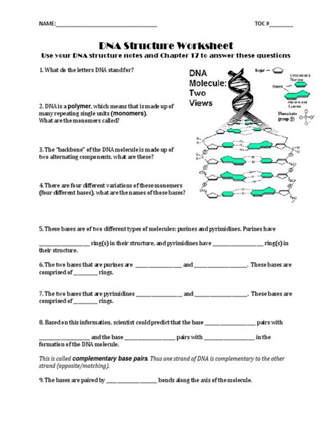 DNA Learning Worksheet 的图像结果