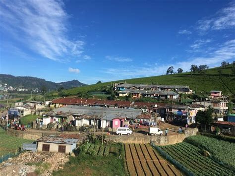 ROYAL HILLS (Nuwara Eliya) - Hotel Reviews & Photos - Tripadvisor