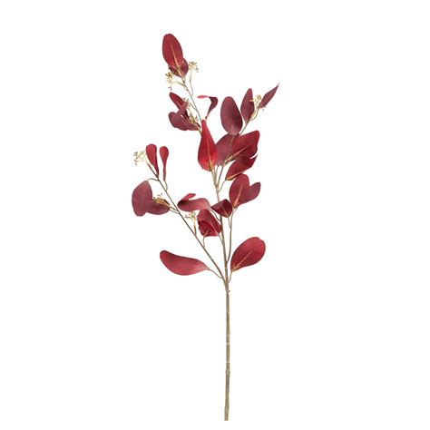 Buy Paris Eucalyptus With Fruit Flower online in India – Home4u