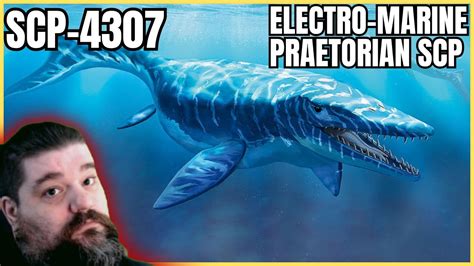 SCP 4307 的图像结果