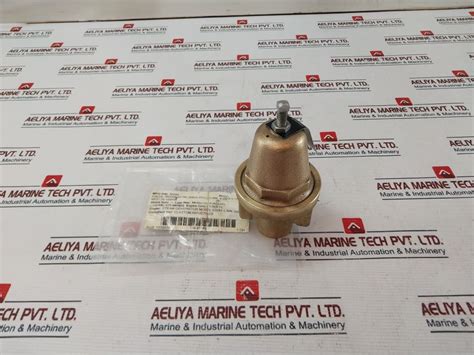 Cash Valve Frm2 Regulator Back Pressure Valve 0.5In X 0.5In – Aeliya ...