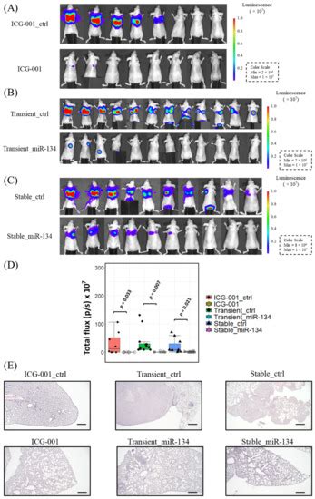 The CBP/β-Catenin Antagonist, ICG-001, Inhibits Tumor Metastasis via ...