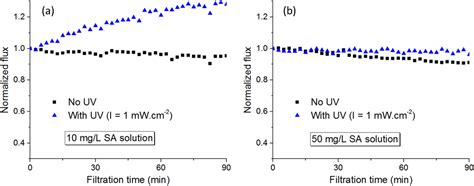 Performance of PVDF-TiO2 Membranes during Photo-Filtration in the ...