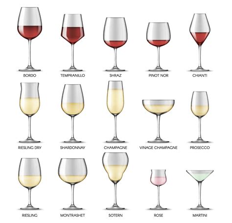 Different Glassware Shapes and Sizes – TongyiGift