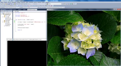 OpenCV Programa 的图像结果