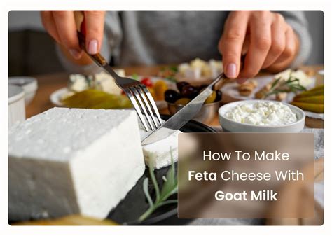 How to Make Feta Cheese with Goat Milk – Courtyard Farms