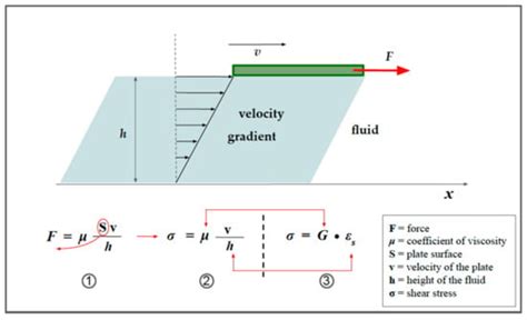 Ultrasound Elastography: Basic Principles and Examples of Clinical ...