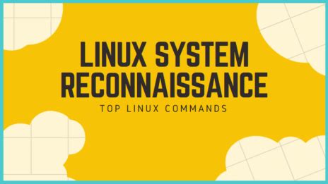 Linux System Reconnaissance [Top Linux Commands] - Yeah Hub