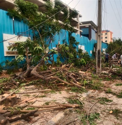 Tree felling at KPBH: Telangana HC issues notice to Principal Secretary ...