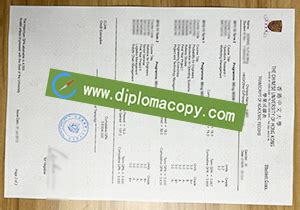 Image result for Chinese University Transcript