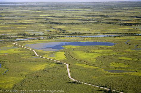 Copper River Delta | Photos by Ron Niebrugge