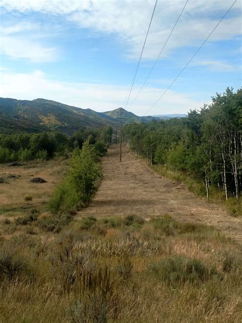 Yampa Valley Electric Association aids in wildfire mitigation ...