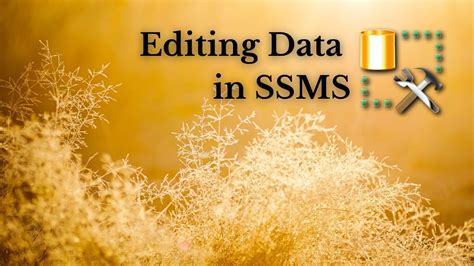 Editing Data Is SQL 的图像结果