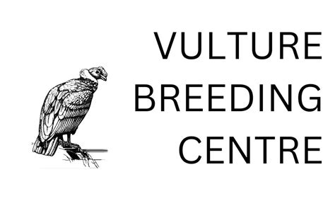 Ray of hope for Vanishing Vultures – The Softcopy