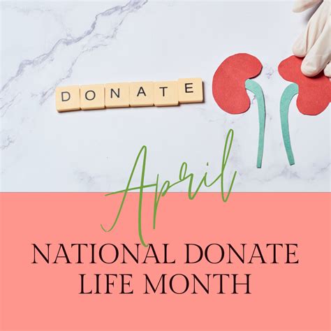 National Donate Life Month: Honoring the Gift of Organ Donation and the ...