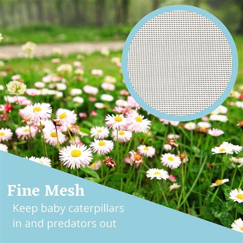 Buy Big Cube Large Butterfly Habitat with Drawbridge Open Door and ...