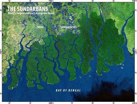 maps&maps: The Sundarbans