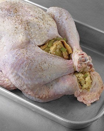 Image result for Stuffed Turkey Tutorial