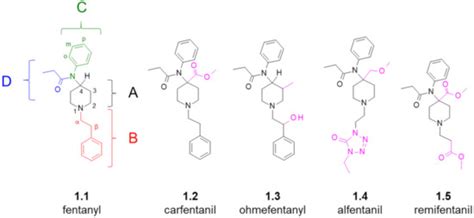 Fentanyl Structure as a Scaffold for Opioid/Non-Opioid Multitarget ...