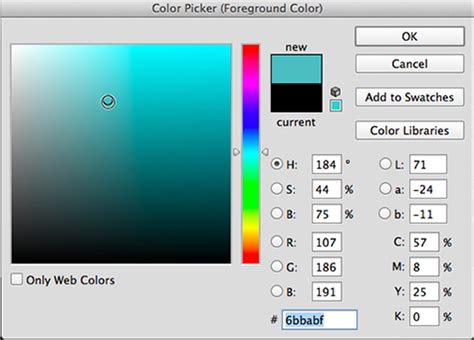 Photoshop CS2 Colorize 的图像结果