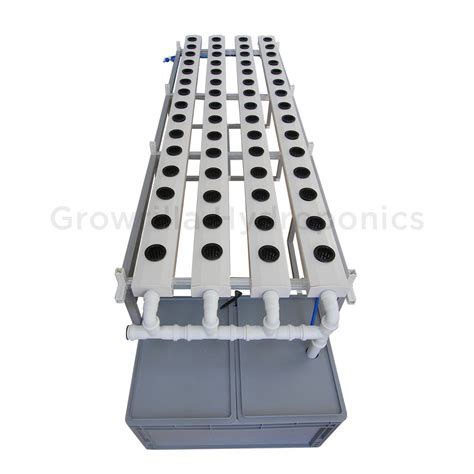 NFT Hydroponics 的图像结果