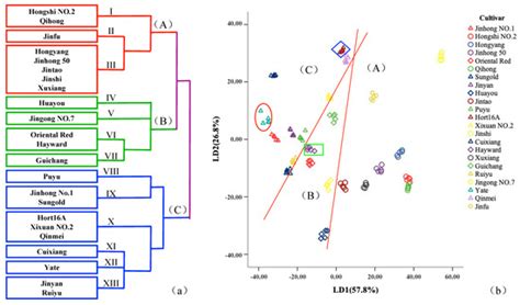 Analysis of the Aroma Chemical Composition of Commonly Planted ...
